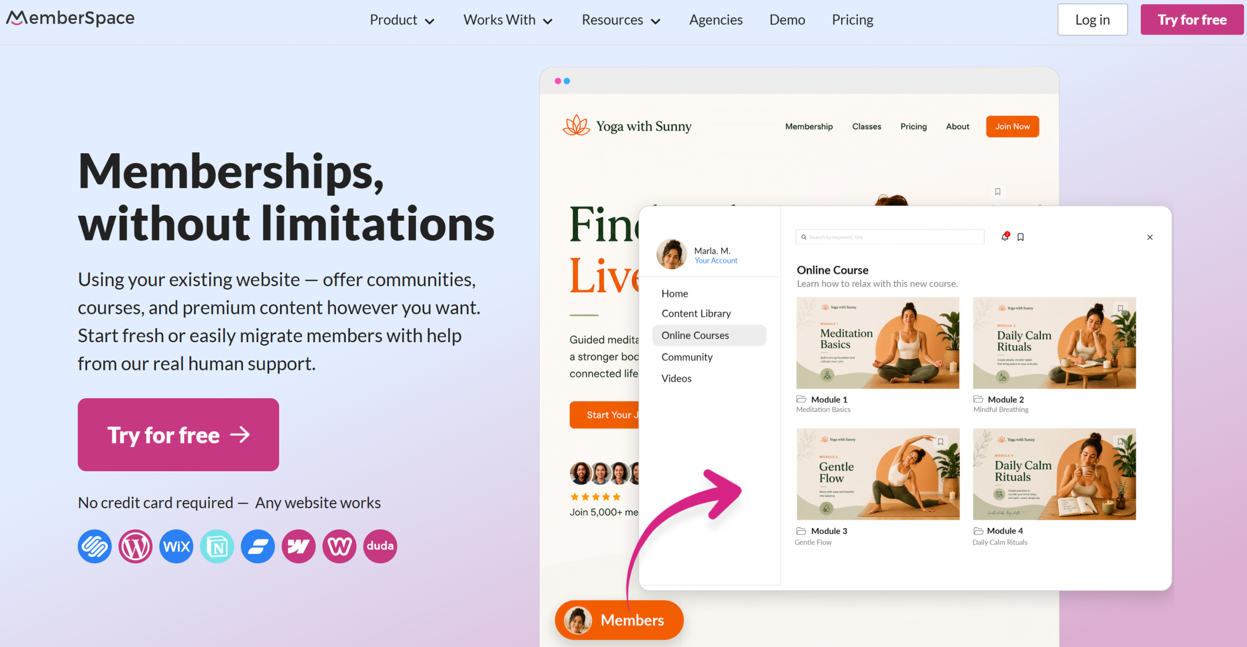 Illustration de MemberSpace sur la page du deal de Freelance Stack