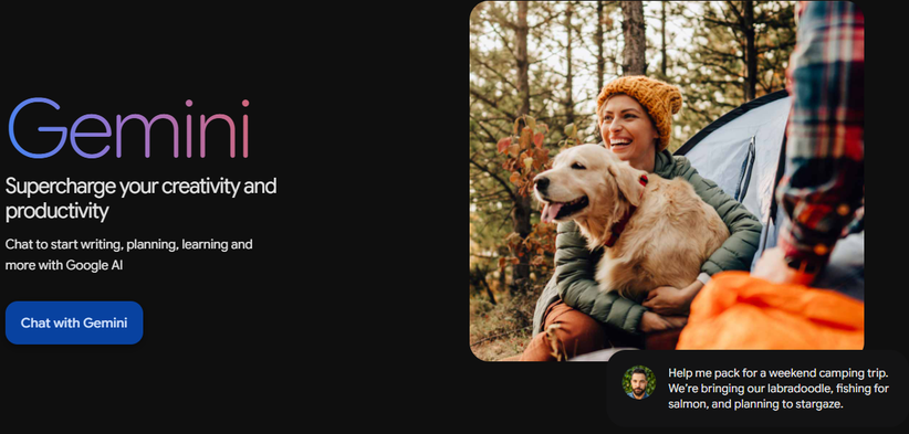 Illustration of Gemini on Freelance Stack's deal page