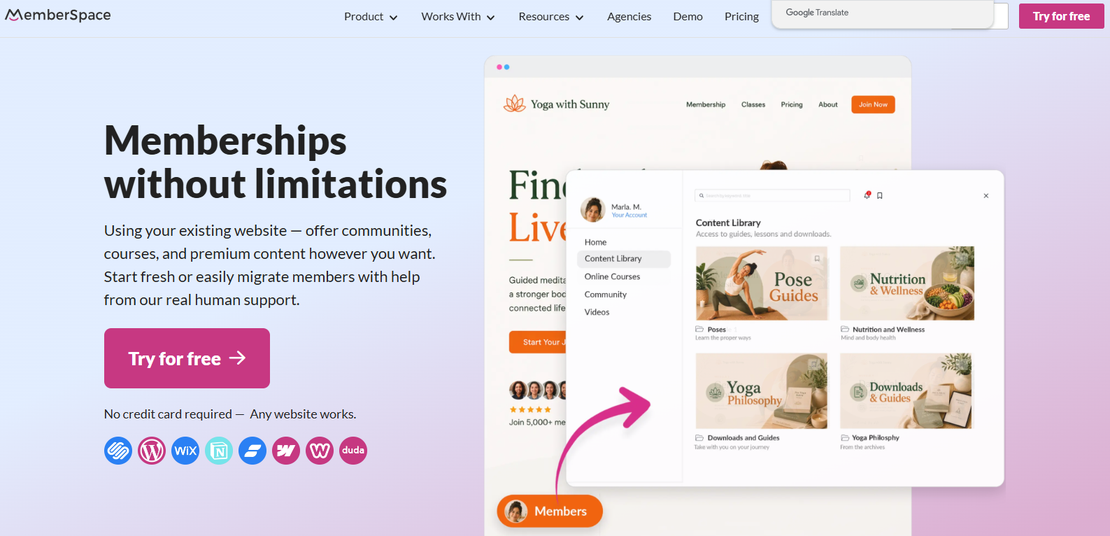 Illustration of Memberspace on Freelance Stack's deal page