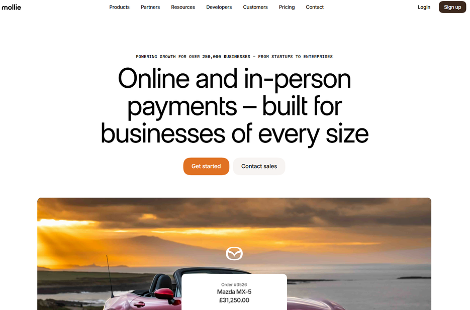Illustration de Mollie sur la page du deal de Freelance Stack