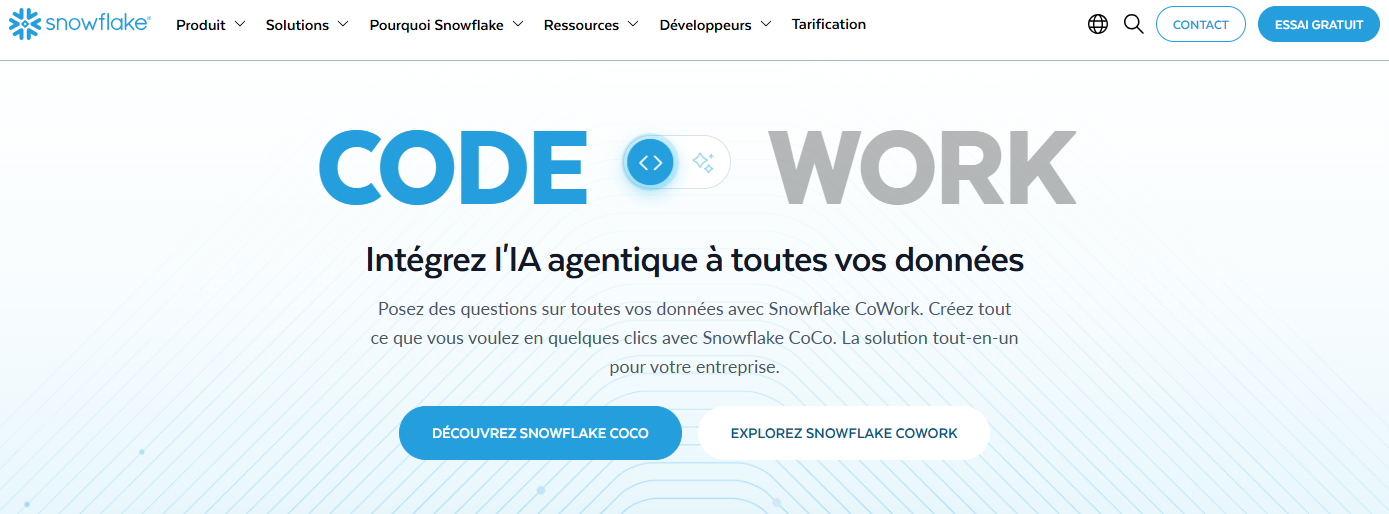 Illustration de snowflake sur la page du deal de Freelance Stack